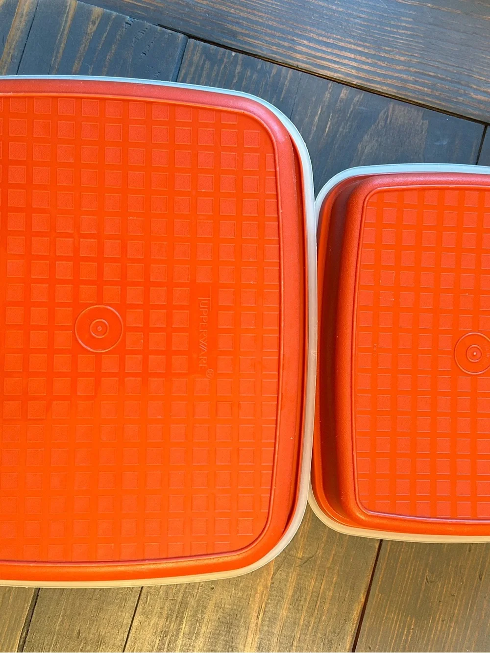 Vintage Tupperware Season ‘N Serve Marinade Containers with Lids Covers Set of 2
